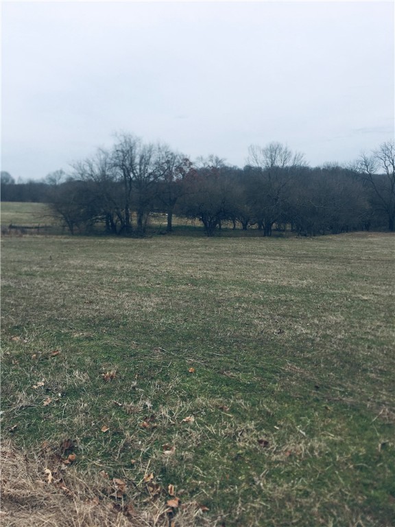 Opportunity has arrived! Excellent development potential, 80 plus acres, borders the beautiful Osage Creek, live springs, pond, large equipment barn, all fenced, lovely large home development across the creek, near golf course, lots of natural beauty, seller will consider divide, seller will consider seller financing all or a part of the acreage. It would be a great area for large estate homes, park like setting along creekside, public water in area but not on property.