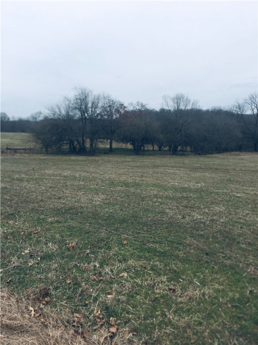 Opportunity has arrived! Excellent development potential, 80 plus acres, borders the beautiful Osage Creek, live springs, pond, large equipment barn, all fenced, lovely large home development across the creek, near golf course, lots of natural beauty, seller will consider divide, seller will consider seller financing all or a part of the acreage. It would be a great area for large estate homes, park like setting along creekside, public water in area but not on property.