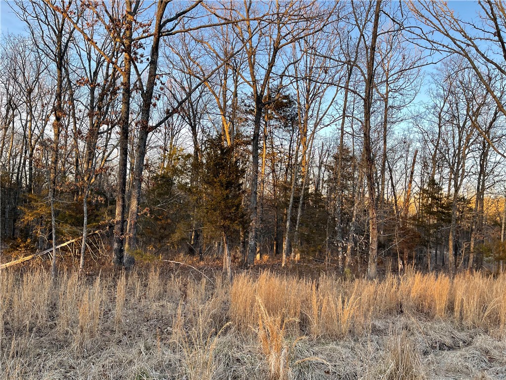 Edge of town, yet lives like you are in the country on this beautiful home site in Northeast Fayetteville. 2.68 acres on Oakland Zion Road. Very private, wooded building site with a running clear creek on one corner. Area of nicer homes in Vandergriff School District.
