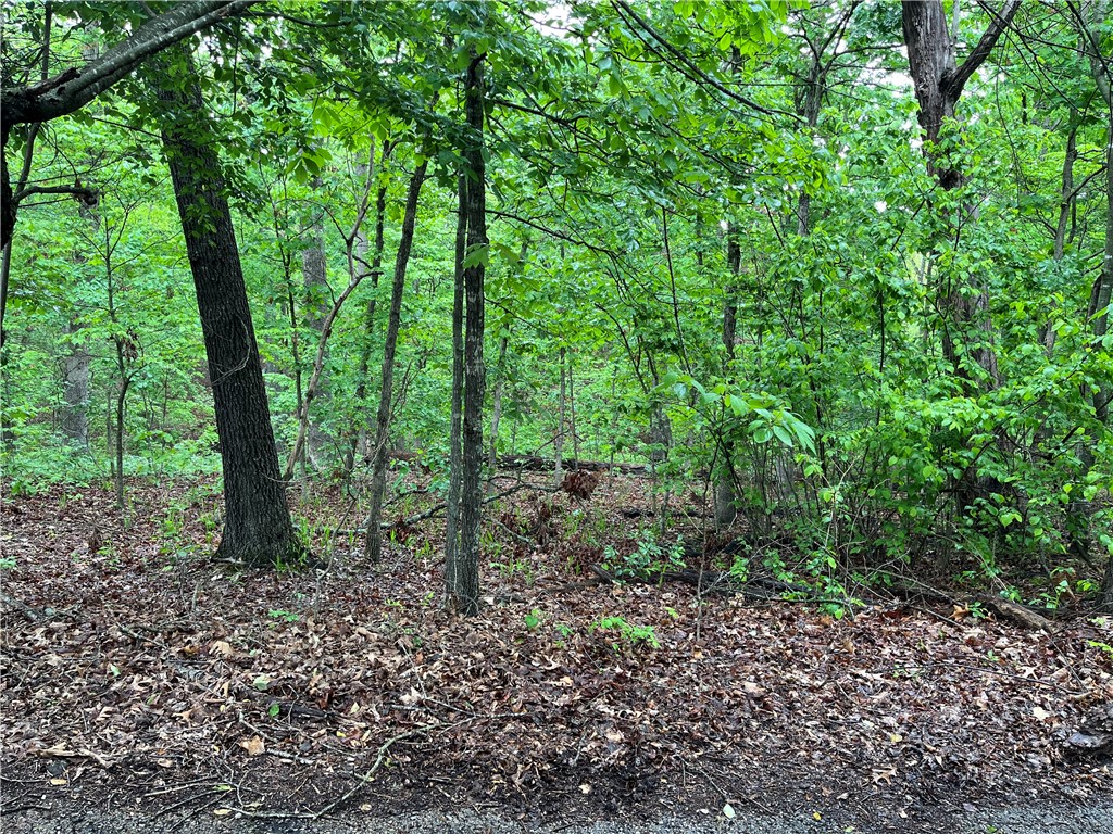 Nestled in a quiet neighborhood between the Loch Lomond boat ramp at Stoneykirk Dr and the Branchwood Recreation center on Glasgow Rd, this beautifully wooded lot would offer your home secluded peace with convenient travel to any activities Bella Vista has to offer. The short commute to I-49 makes it possible for anyone looking to live in NWA.