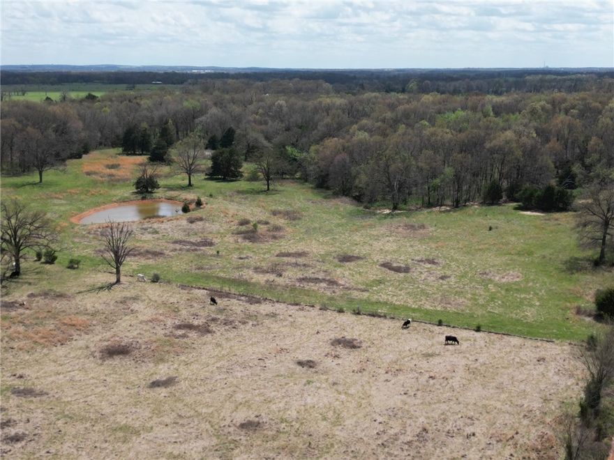 Perfect Perfect place to build your dream home on your own farm. Mix of open and wooded with a large pond. Land is mostly flat for easy build. Country life but not too far out.
