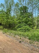 Your chance to own a great lot in Rogers.