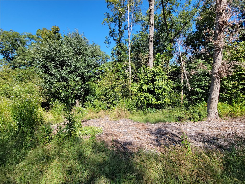 SEWER access for this large lot (.37 ac). Very close to Lake Rayburn with access to the lake through common area. Very nice homes on this well-maintained street.