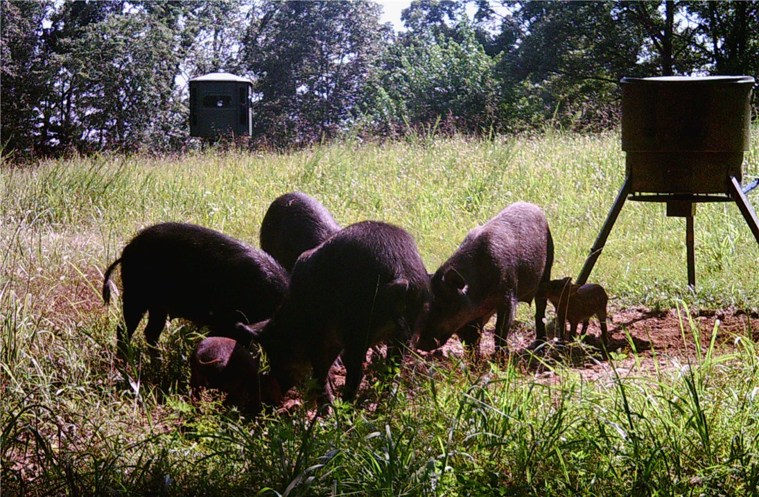 12-13-32 - Residential