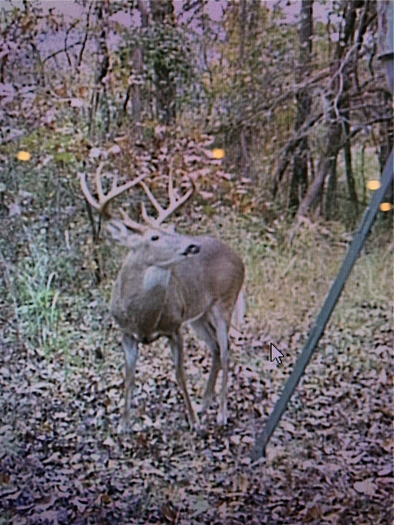 12-13-32 - Residential