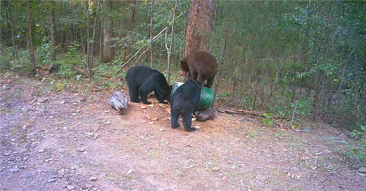 12-13-32 - Residential