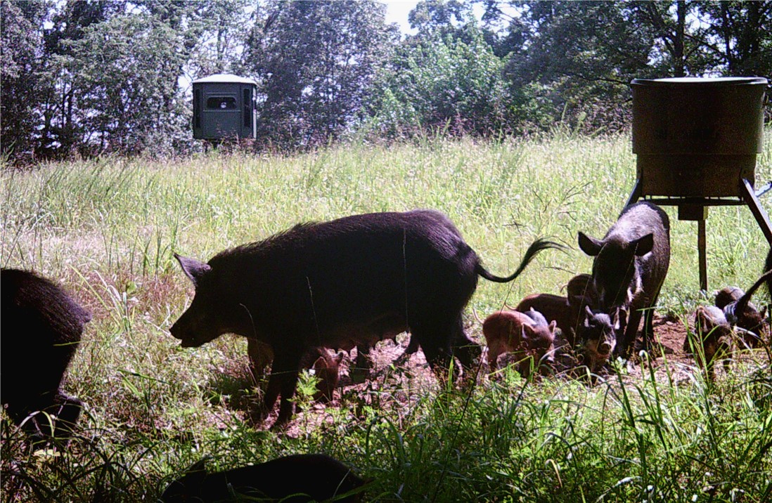 12-13-32 - Residential