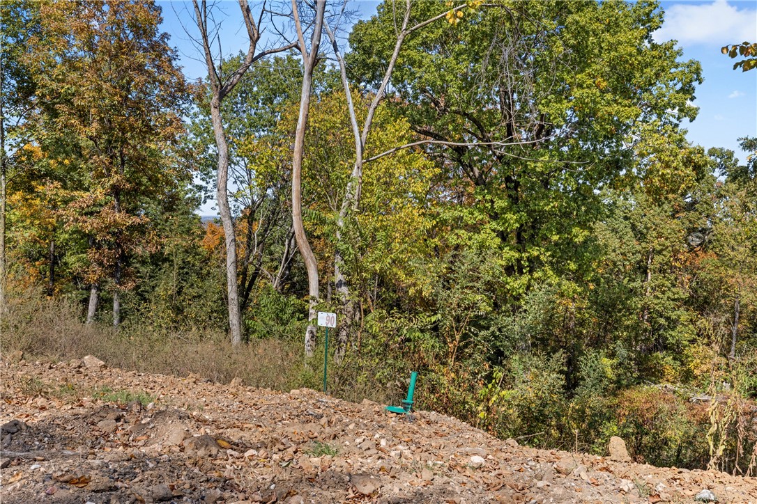 Lot 90 (0.60 m/l ac) of Round Mountain Estates is a wooded lot that sits on the lower section of the development. Restore Ridge provides the seclusion you have been wanting. RME is a new, master planned, exclusive subdivision located 10 minutes west of Harrison, AR. The following utilities are already on site making the building process much easier for you; natural gas, fiber optic internet, electric, public water, and sewer. Interested in your family seeing the star lights instead of those city lights? RME is what you've been searching for! RME features a 350 +/- acre common area for its residents that includes a stocked fishing pond, Kissing Rock trail, natural springs to explore, Baby Canyon trail, incredible bluff lines to climb, and views for hundreds of miles that will not only take your breath away but will forever be etched in your memory! Neighborhood amenities coming soon.