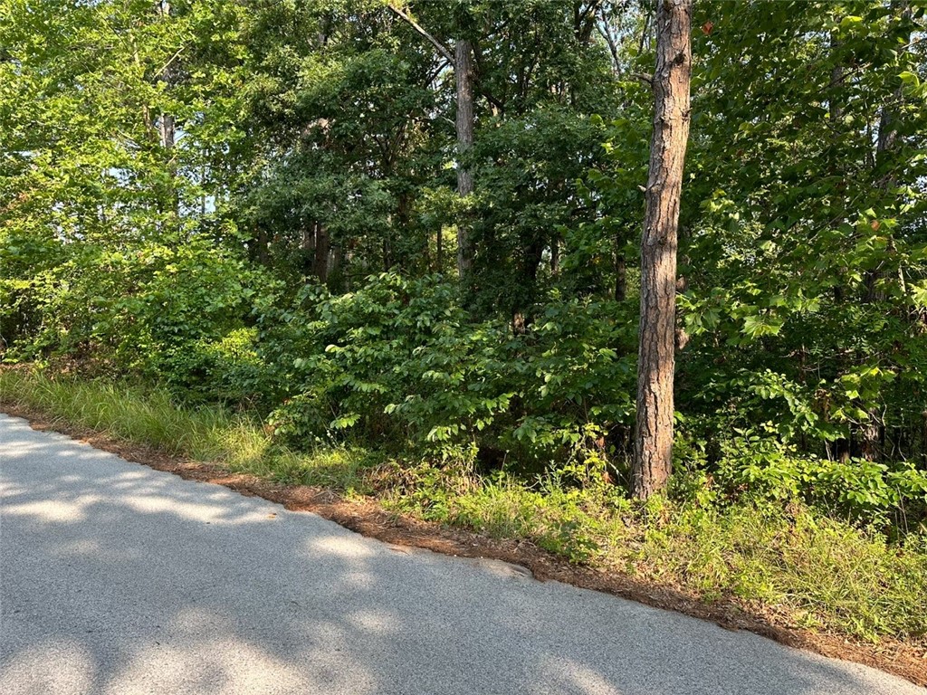 Timber Lake Estates Rurban - Land