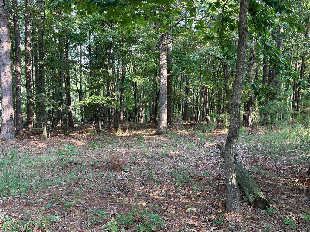 Timber Lake Estates Rurban - Land