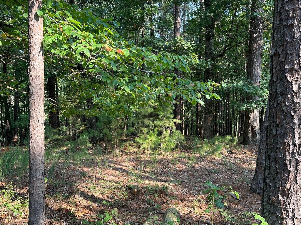 Timber Lake Estates Rurban - Land