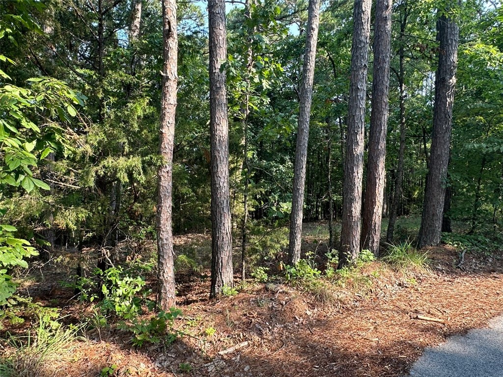 Timber Lake Estates Rurban - Land