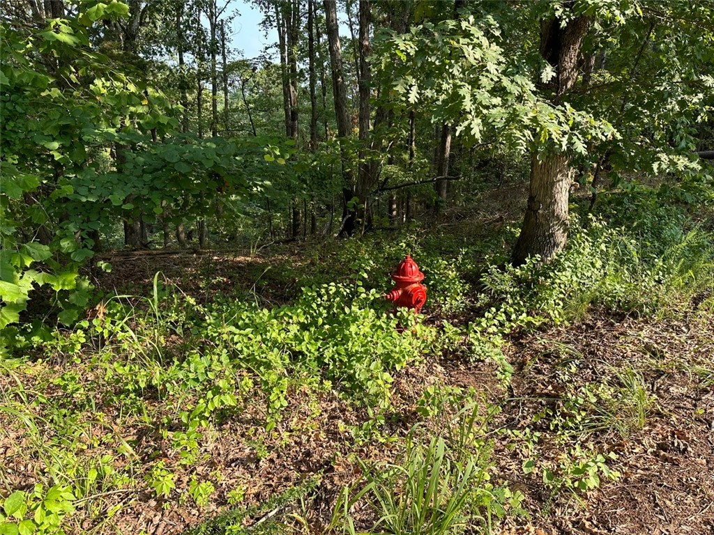 Timber Lake Estates Rurban - Land