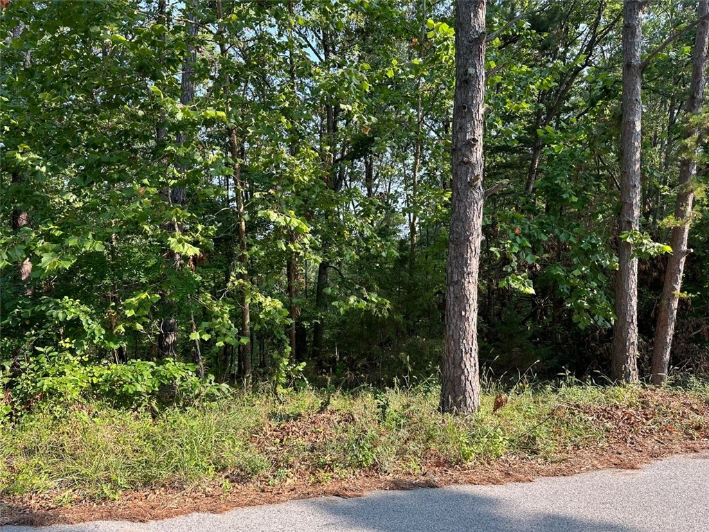 Timber Lake Estates Rurban - Land