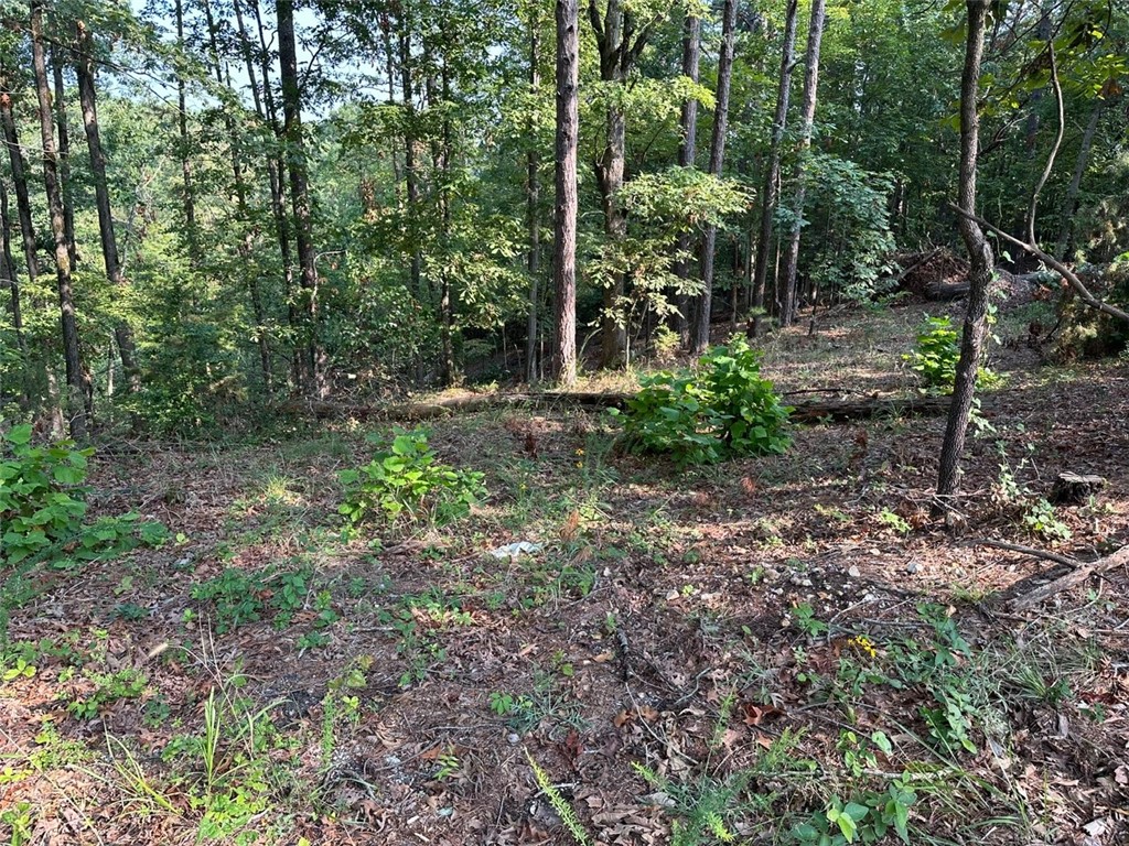 Timber Lake Estates Rurban - Land