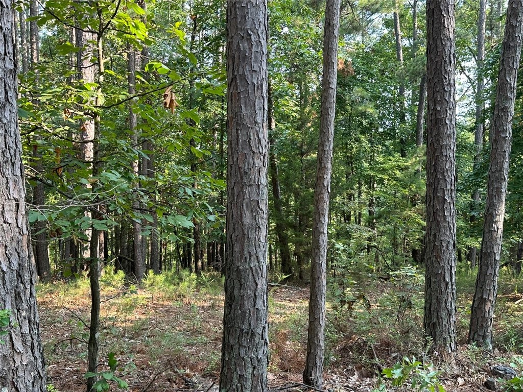 Timber Lake Estates Rurban - Land