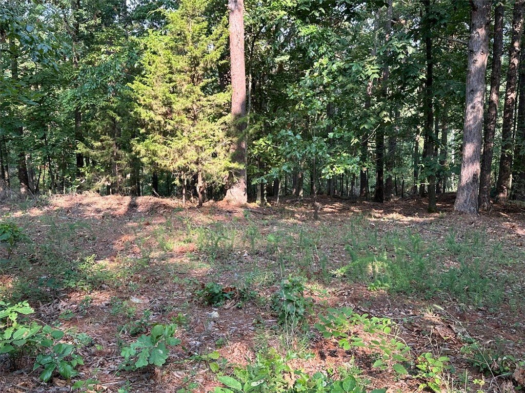 Timber Lake Estates Rurban - Land