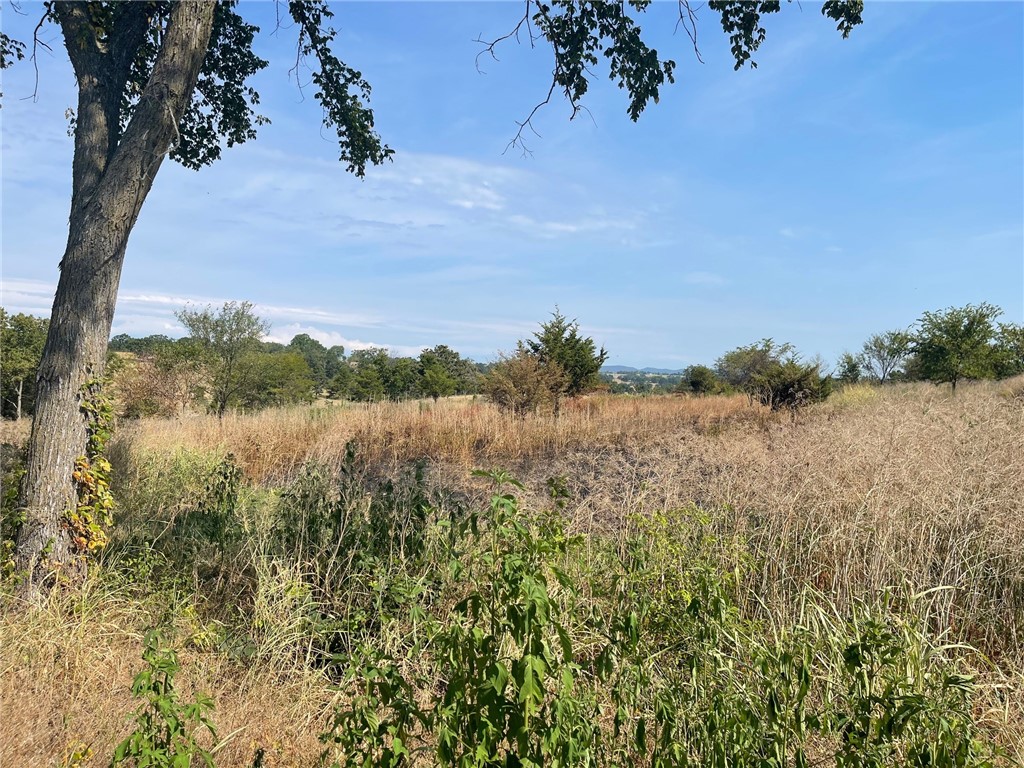 2 Acres located on a paved road with view. Utilities all ready to hook up camper/mobile home etc. Currently has a camper hooked up and could be purchased for additional money. Public water, electric, 500 gallon septic tank and building pad ready to dig footers on. Plus plenty of room on the 2 acres for a future home site. Close to Berryville, Table Rock Lake, and Kings River Access.