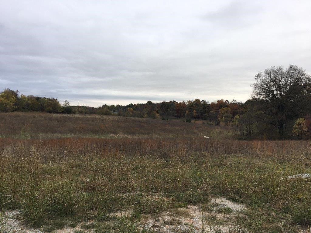 17-19-30-Rogers - Land