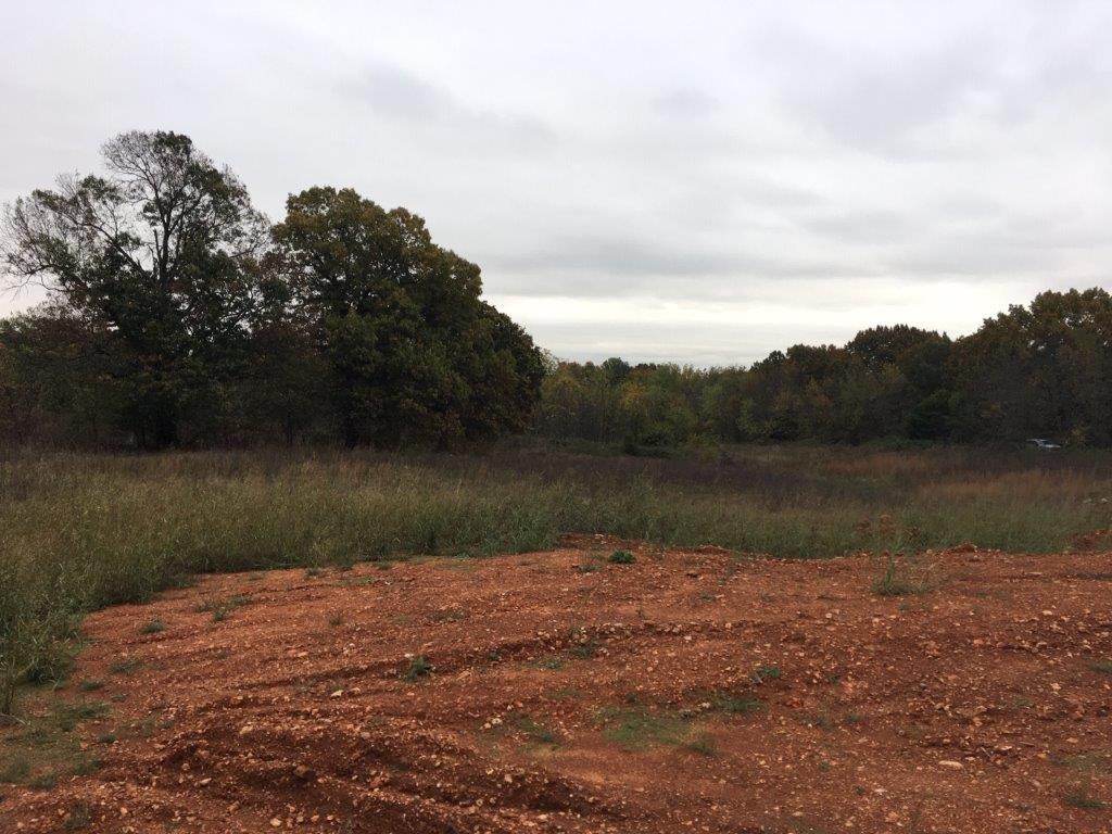 17-19-30-Rogers - Land