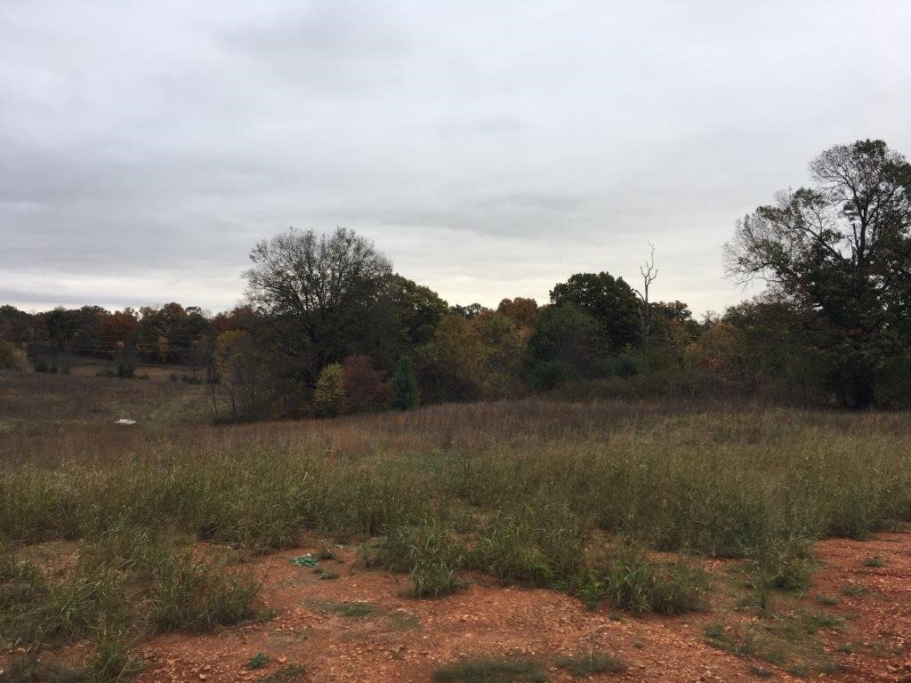 17-19-30-Rogers - Land