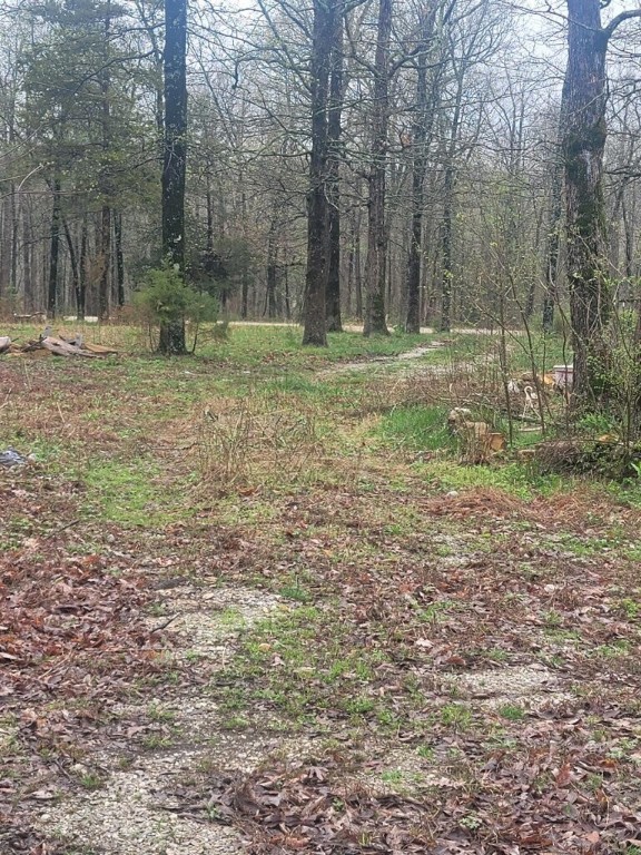 Come and get it! Make this 1.87 acres all you want it to be. A small retreat? Dream home? Or off the grid?