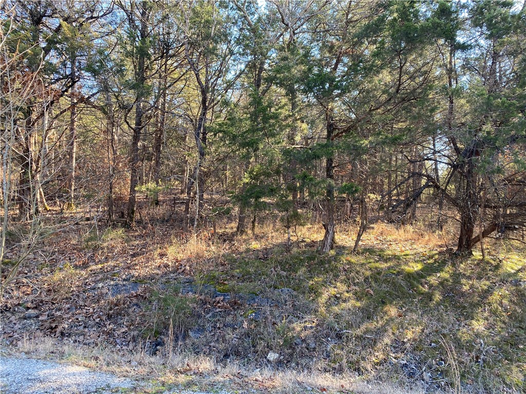 Photo 1 of 8 — 14 Hillside Drive 10, Holiday Island, AR 72631