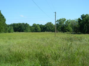 PRICED TO SELL.... 18.6 beautiful acres with open pasture land located just outside Dardanelle. Good building site with large mature trees and plenty of room for a mini farm. 200x36 former chicken house converted to hay barn. Public water at street. Seller states there is a septic system from a previous home site (condition unknown).