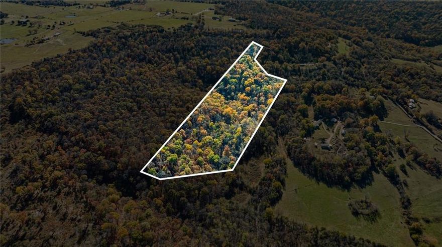 10 acres of prime wooded land offering a beautiful mix of mature trees, rolling terrain, and a natural waterfall feature that adds both character and a peaceful setting. This secluded property provides excellent opportunities for hunting with abundant wildlife and diverse landscape. With some clearing, the property has the potential for scenic views of the surrounding area while maintaining privacy. Ideal location to build a custom home or use as a recreational retreat. Rare opportunity to own a versatile piece of land with unique natural features.