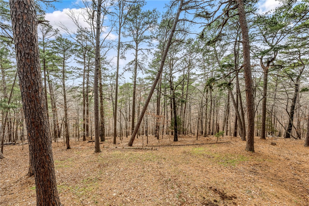 Pine Point Estates Rurban - Residential