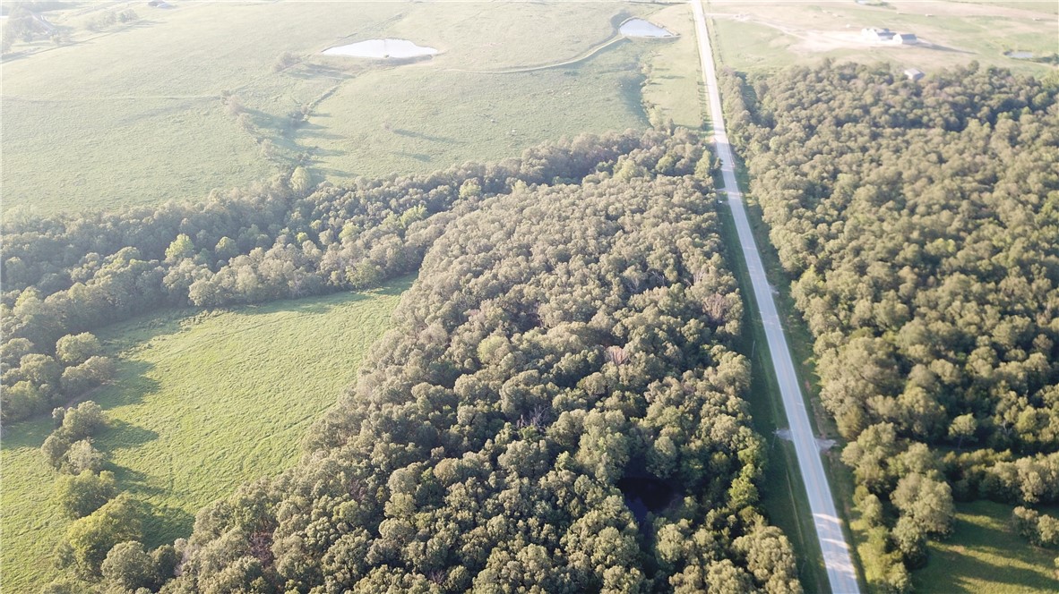 Imagine waking up to deer, rabbits, birds and all types of nature in your backyard everyday? This 10 acres +/- has mature trees of all kinds...pine, oak, cedar and others, so you could sell the tress if desired. Scenic pasture views facing west, so lots of privacy. Prime location to build your dream home with several different build sites or you can split the land up and invite family and friends to build with you.
So you're an investor looking for land to build spec homes or a mini subdivision? This land is literally only 20 minutes to Fayetteville and less than 20 mins to Huntsville and Springdale, so the location is a goldmine for a mini subdivision for families needing to be close, but still live in the country.
Hunting is your thing; well this acreage is full of wildlife and has lots of opportunities to enjoy your favorite sport and you can also build a hunting cabin for you and your family...aka the perfect land for the outdoor enthusiasts.