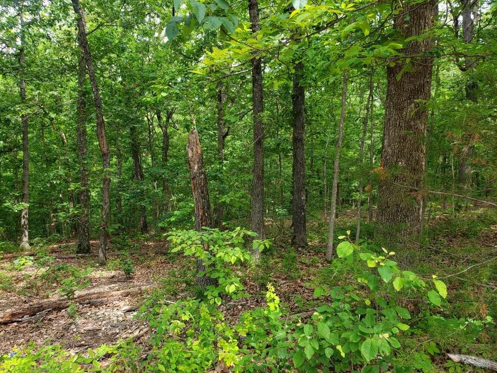 Incredible side by side lots (lot 24 & 25), located right next to lake Ann! Both lots are extremely flat and are great to build a house on. These lots have access to the Summit School biking/hiking trail right behind the lot in the common area. Perfect location if you want to have quick easy access to trails! Lots are also just 13 minutes from I-49. Design-Build Services are available.
