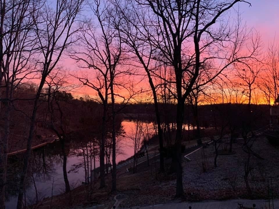 Annsborough Sub Bvv - Residential