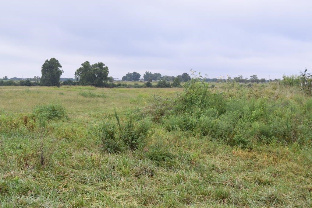 12.48 +/- Ac lot with a nice pond and rural water. Pea Ride schools. Road to be paved later this year. Owner will complete barbed wire fence with full price offer. Fantastic opportunity to building site or business on Lee Town Rd,