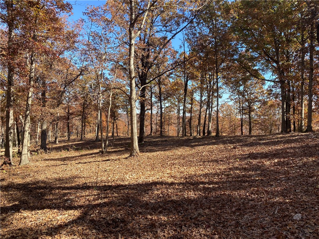 Beautiful 11.88 acres in Gravette with development potential. Electric available at street. One building site cleared with exceptional views. 1350 ft of road frontage on 8th street. Could be potentially be divided into as many as 15 lots; all with great views after tree removal. Country feel but close to city amenities. 1.1 miles to Gravette high school and 1.2 miles to town center. No POA or building restrictions.