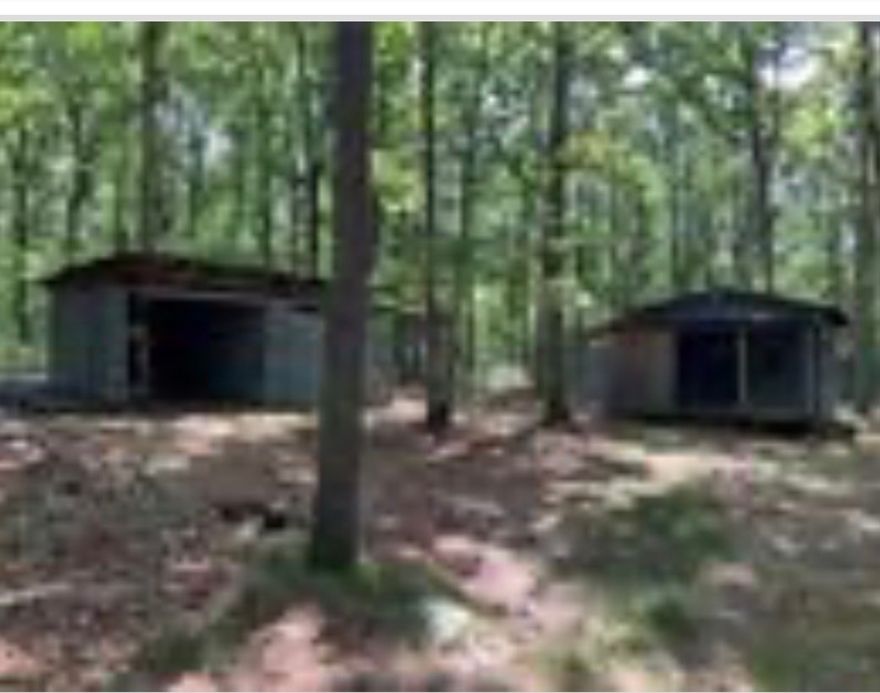Beautiful 20 mostly wooded acres joining National Forest with private access. One bedroom one bath cabin. Wet weather Creek along the southern boundary. Dear Bear turkey.