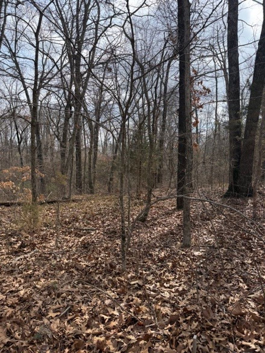 .26 acre lot at the end of a cul de sac. Plenty of medium size trees on the lot. Slopes in the back. Lot has not been perc tested.