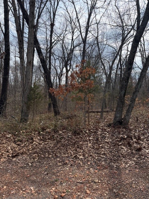 Bankfoot Sub Bvv - Land