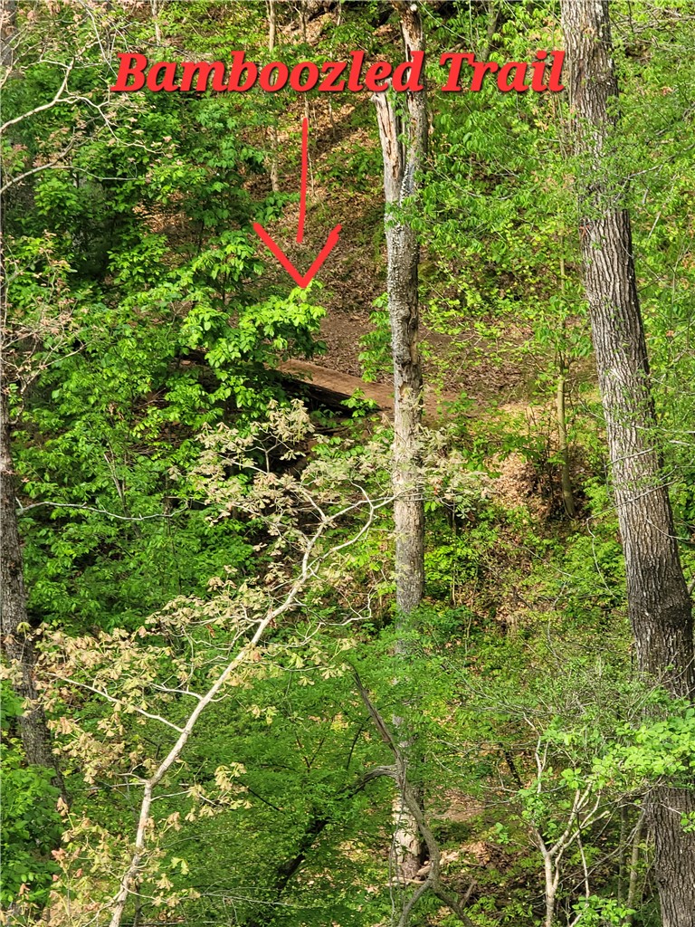 Radnor Sub BVV - Residential