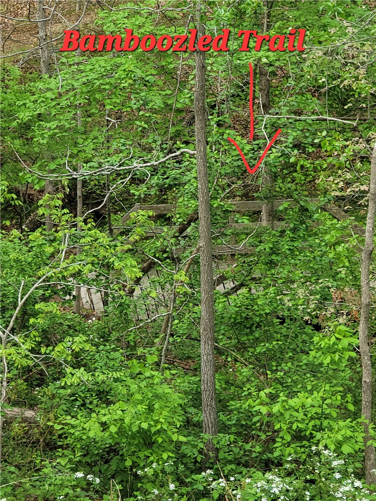 Radnor Sub BVV - Residential