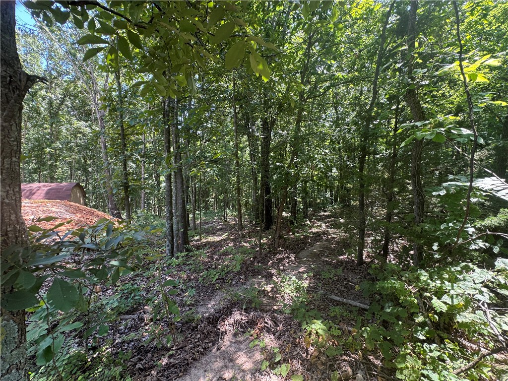 Ready to build your dream home? This wooded lot with mature trees is almost an acre with paved road frontage in Lost Bridge Village Posy Mountain Ranch. Electricity and Benton County water are at the street. Enjoy country living with easy access to boat ramps on lovely Beaver Lake and the conveniences of Rogers. Lake access and boat ramps within 15 minutes at Ventris, Lost Bridge Marina, or Lost Bridge South Park.