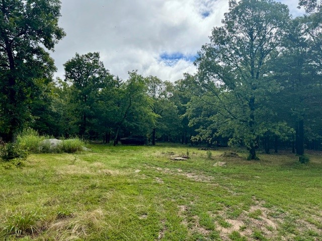 View Fayetteville, AR 72701 property