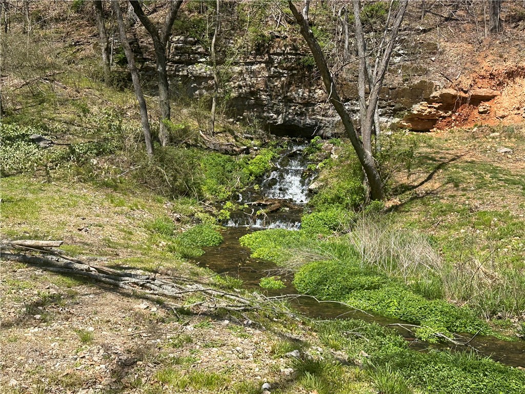Healing Springs - Residential
