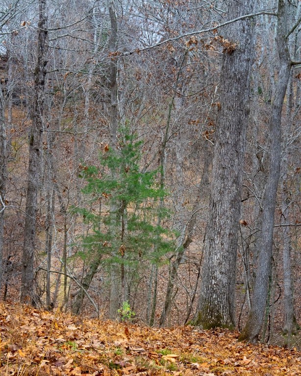 Dutchmans 7th Add Rurban - Land