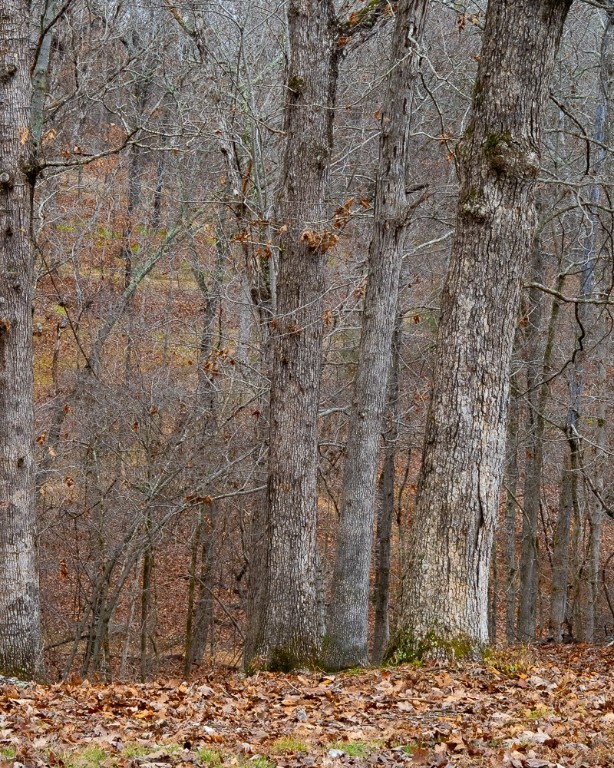 Dutchmans 7th Add Rurban - Land