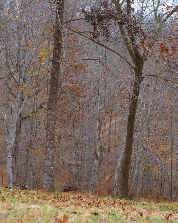 Dutchmans 7th Add Rurban - Land