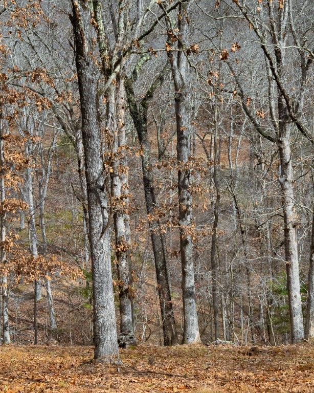 Dutchmans 7th Add Rurban - Land