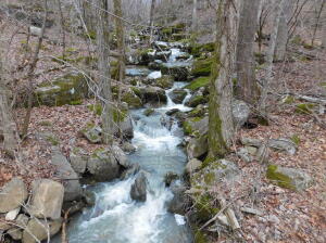 Awesome views on the 17 ac more or less in the Parthenon community in the Buffalo River region in the beautiful Ozark Mountains of Newton County. Overlooking the Little Buffalo River. Near the Ozark National Forest. Has one of the largest springs in in Newton County.The property is just 9 mile from the Alum Cove Natural Bridge and only 6 mile to the Ozark National Forest. Property is just a short drive from Jasper, Arkansas and only 0.5 miles from the Little Buffalo River access in beautiful Newton County. Only 11 miles to the Pruitt Access of the Buffalo National River. This central location is convenient to the best swimming holes, hiking, canoeing, wildlife photography and fishing. Other nearby outdoor activities include horseback riding, mountaineering, caving and scenic driving.