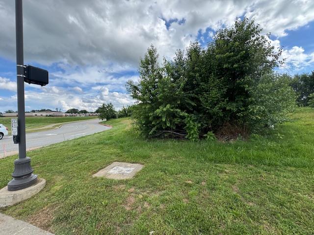 Pamela Marchant Tr 1A - Land