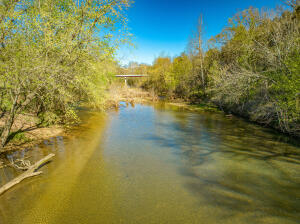Welcome to nearly 7 acres of pure bliss tucked away in Osage Estates, Berryville, AR. This beautiful lot offers a mix of waterfront tranquility along Osage Creek and the perfect spot to build your dream home, complete with a 20x40 open sided barn. Just a short drive--less than 5 miles--to downtown Berryville, with the Kings River Public Access point practically in your backyard, about a mile away. And if you're craving a taste of the eclectic charm of Eureka Springs, it's only a 5-mile jaunt down the road. Call today to see this beautiful property.